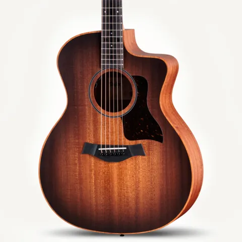 2024年の新アコースティックギター | Taylor Guitars